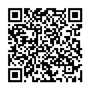 竟然硬生生被她掏出一块足有一人高的坚硬岩石来二维码生成