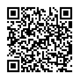 竟然缓缓的从冥血魔刀和龙纹剑的刀身和剑身上幻化了出来二维码生成