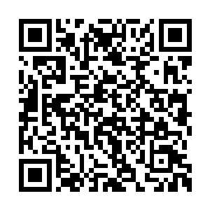竟然置别人的生命以及一大群老师的前途而不顾二维码生成