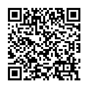 竟然能伤害到号称能免疫所有能量攻击的飞天蚁二维码生成