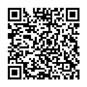 竟然能够有彤彤这么乖巧聪明伶俐的姑娘在旁边帮他二维码生成
