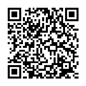 竟然能够根据她们各自的身段而选用了各个不同款式的晚礼服二维码生成