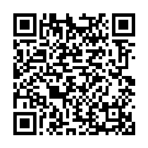 竟然被一群女修士以飞剑硬生生的开出了一条同道二维码生成