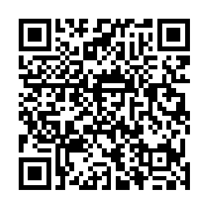 竟然被一股股更加恐怖和玄奥的力量给硬生生的逼回体内二维码生成
