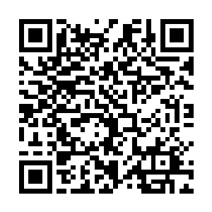 竟然被两人折腾出一套用兵团来驱散蓝能量侵蚀的办法二维码生成