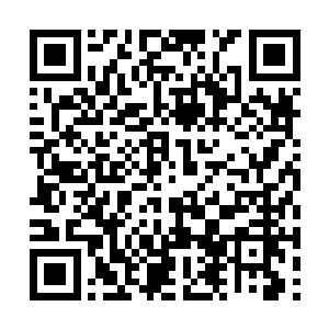 竟然被其中一个壮汉抓着两个宦官的脑袋对撞一下二维码生成