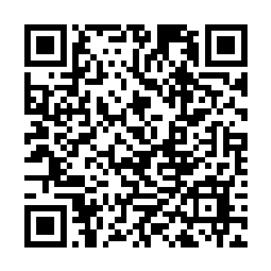 竟然被才踏入此境不久的风尊者以世界胎膜反困住了二维码生成