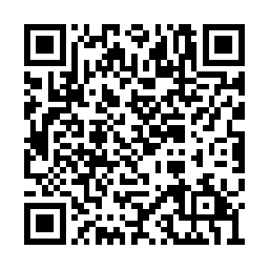 竟然让他想起刚服役时训练他们的那个老军士长二维码生成