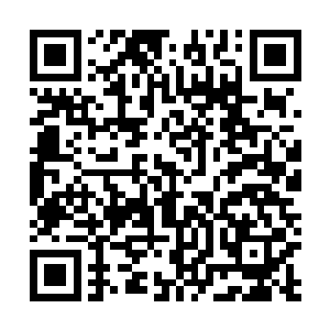 竟然让天不怕地不怕的萧霓裳都觉得一种本能地恐惧起来二维码生成