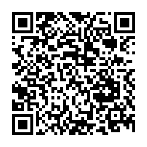 竟然让那些厚颜修士前来打扰仙子・我已经命令下人将那些修士都赶回去了二维码生成