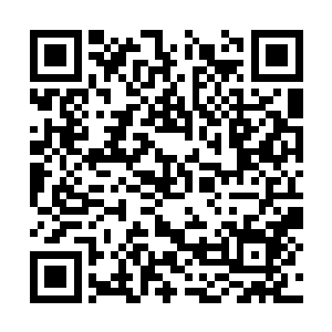 竟然还好夹出来一半……这母子两也真是凑齐活了二维码生成