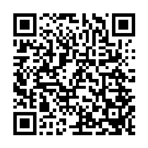 竟然还掉落一根大葱……这些小虾米到底是有多穷啊二维码生成