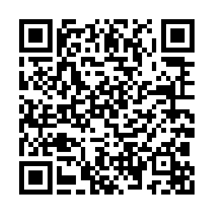 竟然还能有战力齐整的四千龙象军出现在葫芦口二维码生成