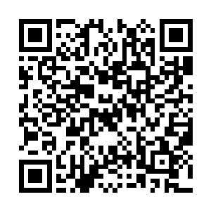 竟然连三阶的黑暗精灵也能随手抓一个……这家伙二维码生成