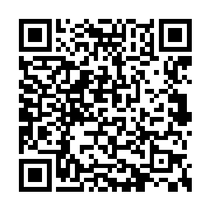 竟然连四图腾结界也没能将他们的力量进行封禁二维码生成