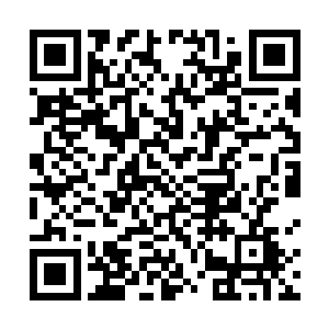 竟然都快记不得已经多久没这么闲情逸致地晒晒太阳了二维码生成