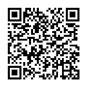 竟然都是用十二名箭手从前后左右围成扇形来突施狙袭二维码生成