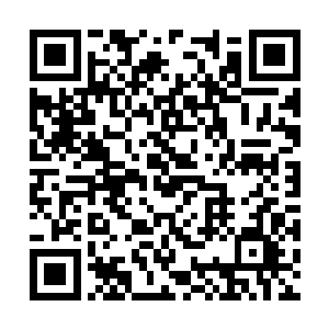 竟然需要十二个法则强者才能够发挥出最大的威力二维码生成