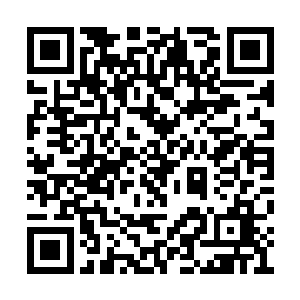 竟然顺藤摸瓜般的朝着叶凡樱子几人的方向窜去二维码生成