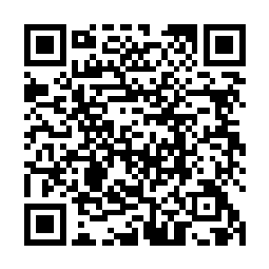 竟然鲁大人有心劝说孙将军与魏王一同推举刘皇叔为帝二维码生成