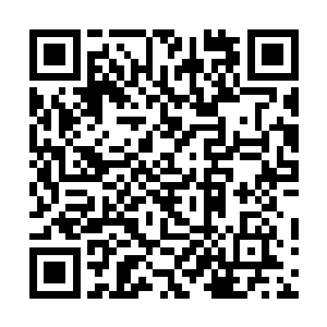 竟直接就把那距离他们最近的三颗黑暗星卷入其内~二维码生成