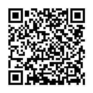 竟真的重入凡界为梵奇搜罗了各色美人带到岛上二维码生成