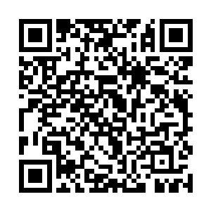 竟胆子大到拉着玄天冥的手开始跟人家唠扯起家常来二维码生成