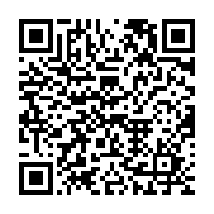 竟让一个帝尊两层境强者在这么短的时间内变得如此老态龙钟二维码生成