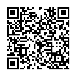 竟记不清到底多少年前的事情……乌回天那小家伙二维码生成