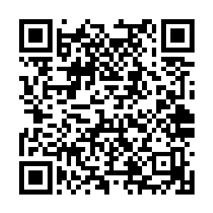 竟诡异的显现出了一只泛白的如同死鱼眼般的眼睛二维码生成