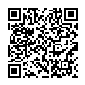 竟连这种防御能力如此强大的二阶凶兽横公鱼都能猎杀二维码生成