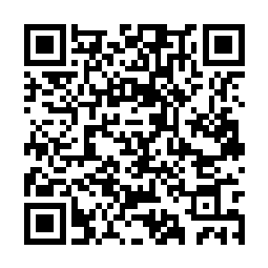 章从含湖贝里拿出一卷有些古旧的战画递向方运道二维码生成