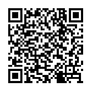 章鱼王只是察觉到离光圣者可能遇到了什么奇遇二维码生成
