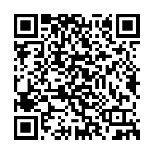 童立柱打量着眼前这个很有点恬淡自若的年轻人二维码生成