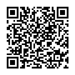 童话里的爱情需用用心去培养……想带你一起流浪沐浴阳光二维码生成