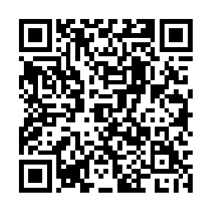 端木不愧是经历了许多战争还能活着站在这里的人二维码生成
