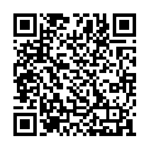 端正的坐在墨景祁身边仿佛刚才什么也没说一般二维码生成