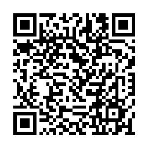 端王妃肚子里的这个孩子正是端王的第一个子嗣二维码生成
