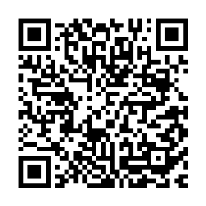 端起手中的枪全都对准了不知道何时出现在苏芷妍面前的男人二维码生成