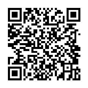 端起步枪朝着其中还有生命迹象的躯体挨个补射二维码生成