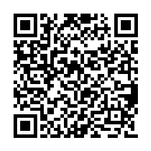 竹记可能就像是淡水系统里进入的第一条食人鱼二维码生成