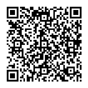 笑嘻嘻的捧着一篮子法式面包和高级牛肉跟培根用好看的包装纸裹着一道走出酒店大门二维码生成