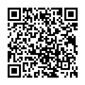 笑话　修真界有多少金丹大能你以为我不知道　二维码生成