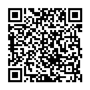 笔者认为完全应该给苏叶演技可以达到潜意识地步的理由二维码生成