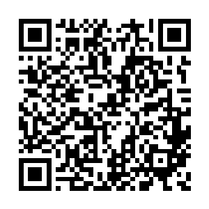 符阴珠一进入元神空间立刻自动的找上了符阳珠二维码生成