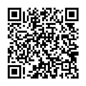 符魔界不知怎的忽然出现一种奇异的人形骷髅虫二维码生成