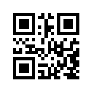 笨蛇二维码生成