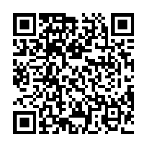 第一个上车的韩国人看到坐在车子里的华夏代表团成员二维码生成