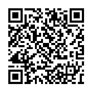 第一个倒霉的肯定是圣子彼得以及那一只圣甲虫二维码生成