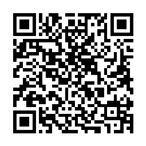 第一个副本在荒岛上就忍不住要保护一个小女孩外加一个空姐二维码生成